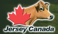 link to jersey canada